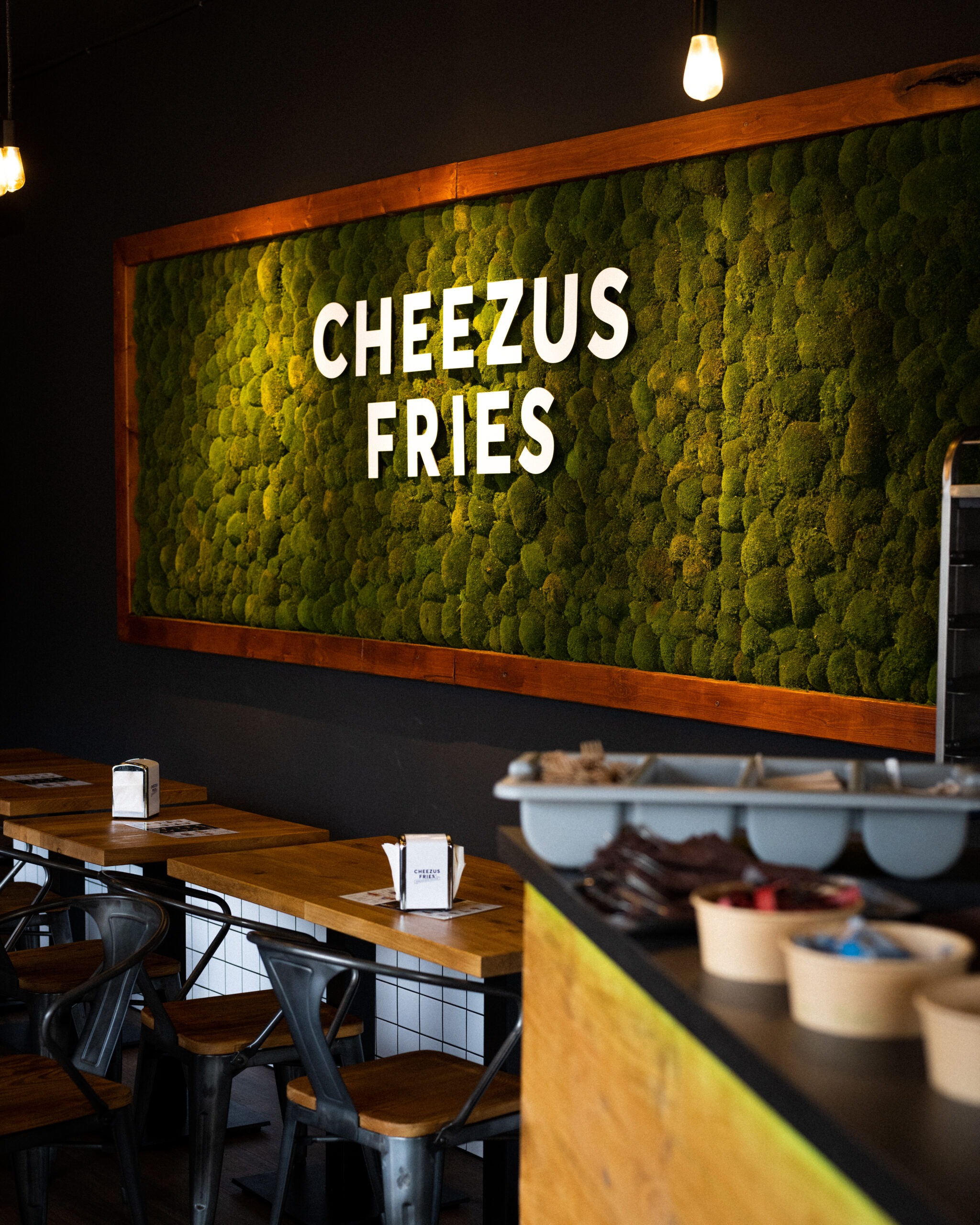 Cheezus Fries